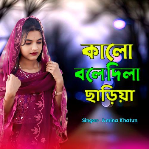 Kalo Bole Dila Sariya