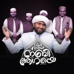 Kamli Wale Nabi Aagaye