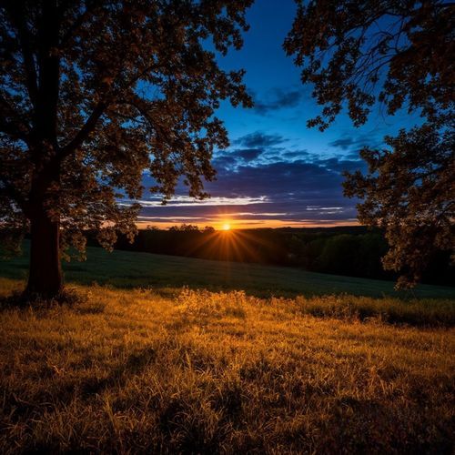 Ночь теплого июня