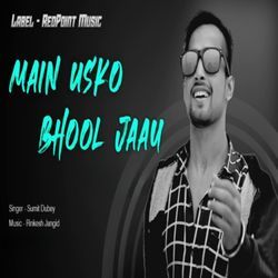 Main Usko Bhool Jaau-MRgOSQZ2VVE