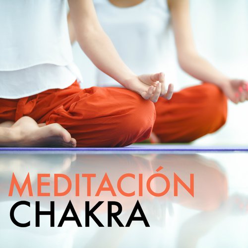 Sanar el Alma y el Cuerpo cover art