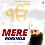 Mere Gobinda (Live)
