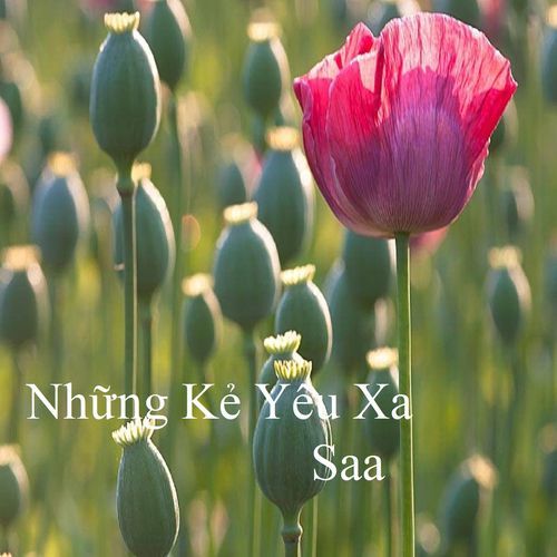 Những Kẻ Yêu Xa_poster_image