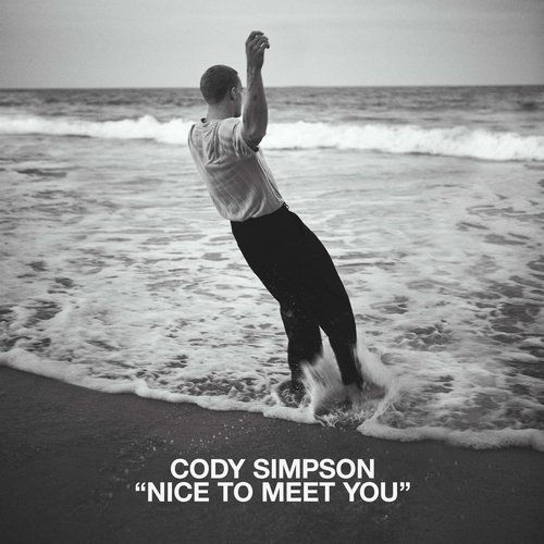 Nice to Meet You_poster_image