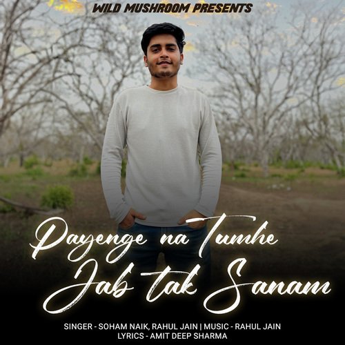 Payenge Na Tumhe Jab Tak Sanam