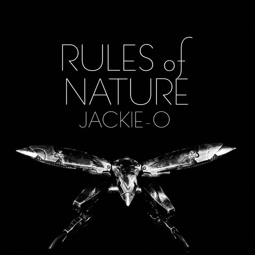 Rules of Nature_poster_image