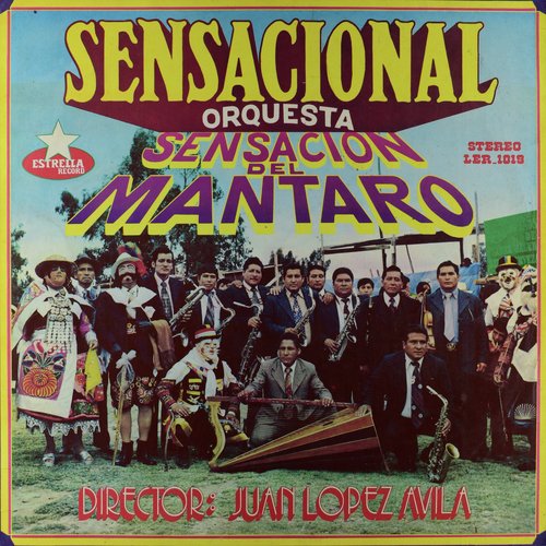 Los Tunanteros del Centro cover art