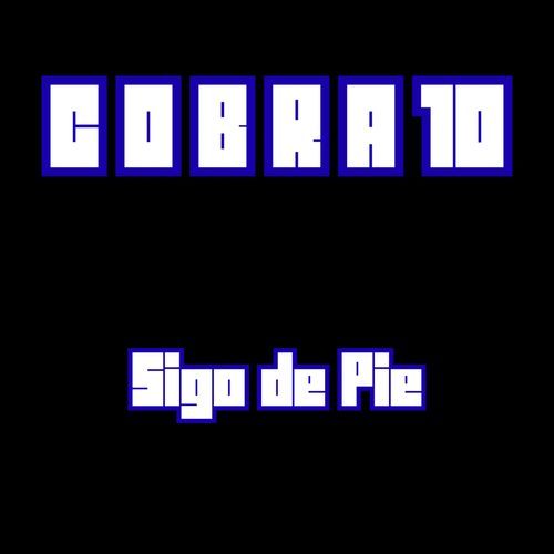 Sigo De Pie cover art