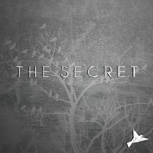 The Secret_poster_image