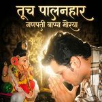 Tuch Palanhar