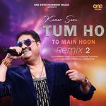 Tum Ho To Main Hoon (Remix 2)