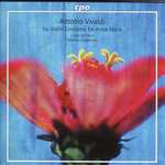 Violin Concerto in B Minor, RV 387: I. Allegro