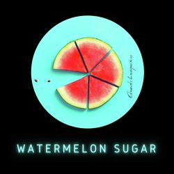Watermelon Sugar (Future House Remix)