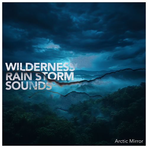 Wilderness Rain Storm Sounds