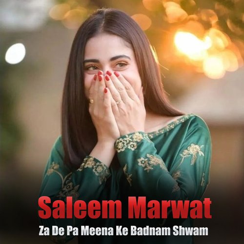 Za De Pa Meena Ke Badnam Shwam_poster_image