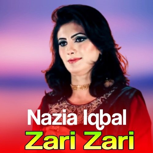 Zari Zari_poster_image