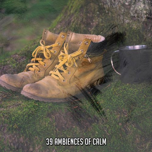 39 Ambiences Of Calm