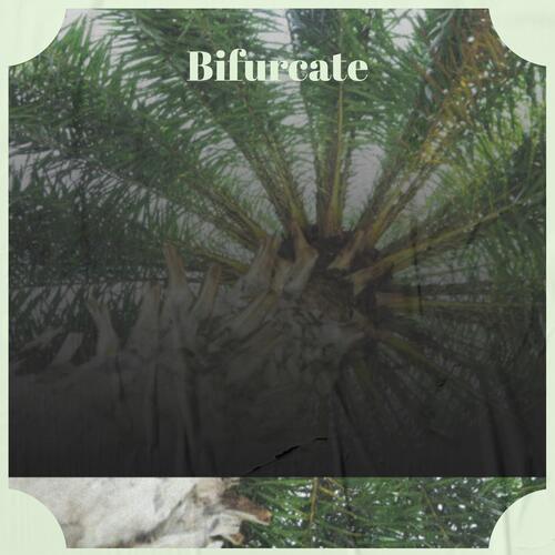 Blancmange cover art