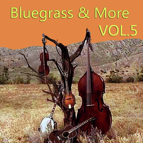 Bluegrass & More, Vol. 5