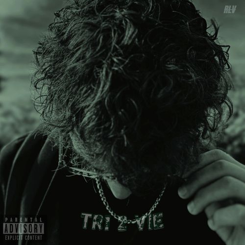 Calibre cover art