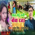 Dhan Gehu Jani Bova Rajau