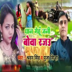 Dhan Gehu Jani Bova Rajau