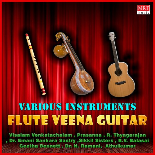 Flute Veena Guitar_poster_image