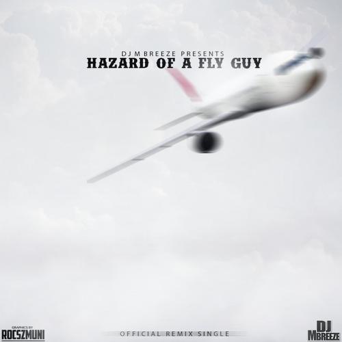 Hazard of a Fly Guy (Remix)