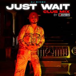 Just Wait (DJ Ravish Club Mix)-NkURawR4T3g