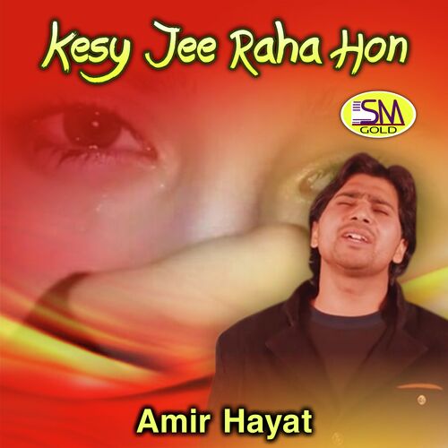 Kesy Jee Raha Hon
