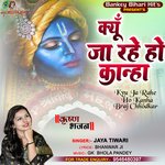 KYU JA RAHE HO KANHA (Hindi)