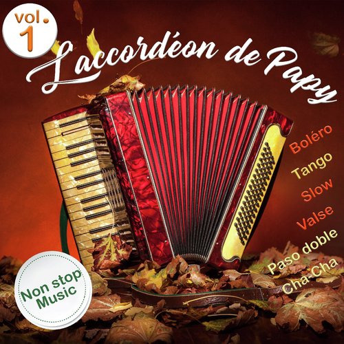 L'accordéon de Papy - Volume 1 (Non-Stop Music)