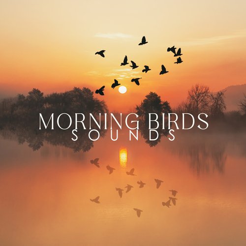 Morning Birds Sounds: Music to Combat Stress and Anxiety