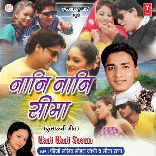 Naani Naani Seema_poster_image