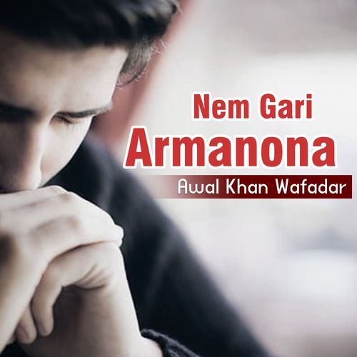 Nem Gari Armanona