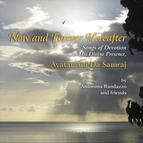 Now and Forever Hereafter (feat. Bill Somers & Owen O'Mahony)