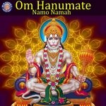 Om Hanumate Namo Namah
