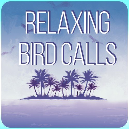 Relaxing Bird Calls