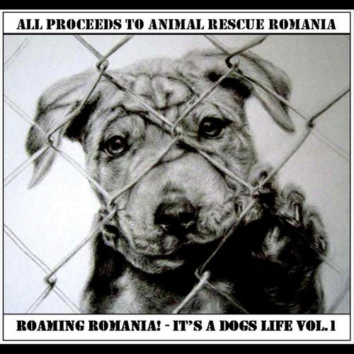 Roaming Romania!: It's a Dogs Life, Vol. 1