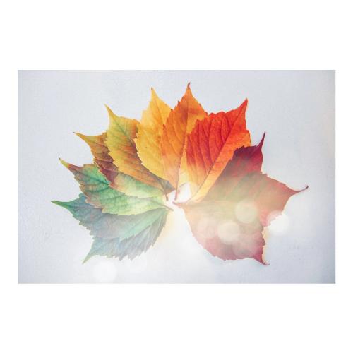 The LX cover art