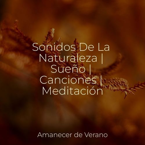 Sonidos De La Naturaleza | Sueño | Canciones | Meditación