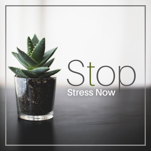 Stop Stress Now – Therapy Music, Relief Stress, Deep Relaxation, Zen, Calming Nature Sounds, Bliss