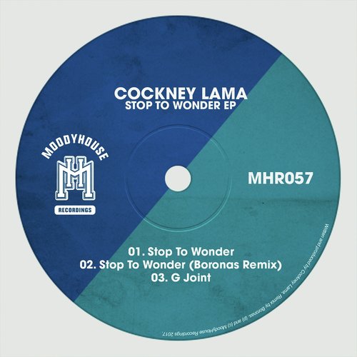 Stop To Wonder (Boronas Remix) cover art