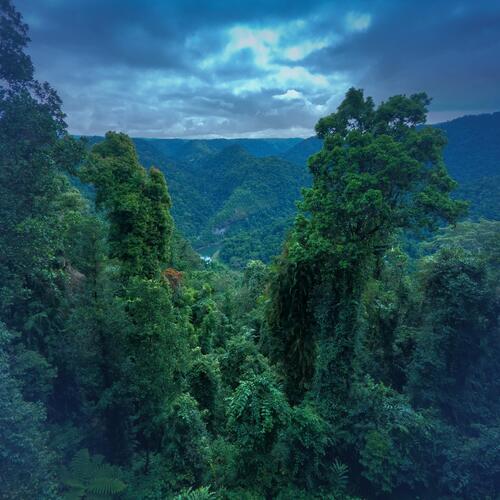 Strong Tropical Thunderstorm in Australia_poster_image