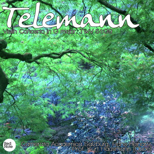 Telemann: Violin Concerto in G major, TWV 51:G9