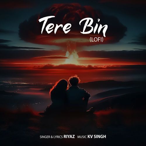 Tera Bin Lofi