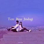 Tere Bina Jindagi