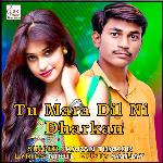 Tu Mara Dil Ni Dharkan