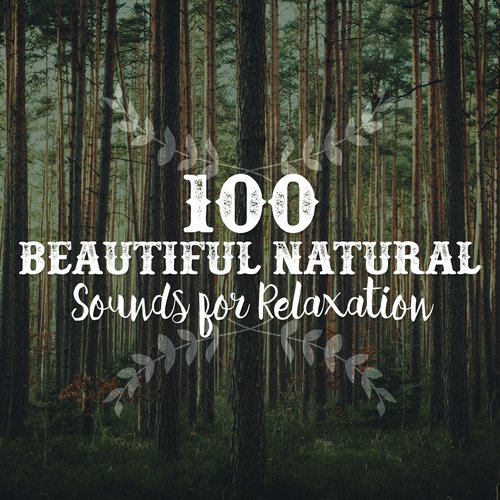 100 Beautiful Natural Sounds for Relaxation