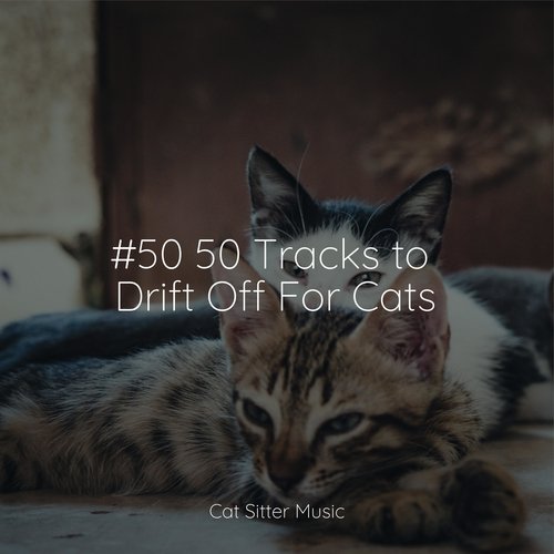 #50 50 Tracks to Drift Off For Cats_poster_image